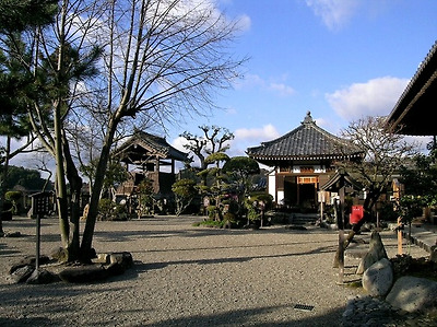 2031AB264CD7CFAC0A9A6B