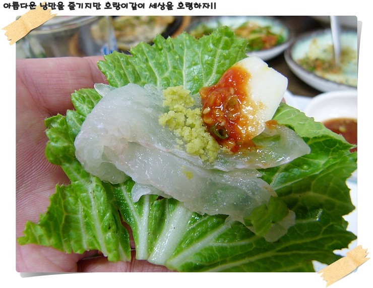 해운대박선장 이미지