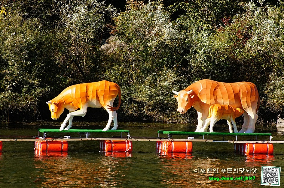 횡성한우 이미지