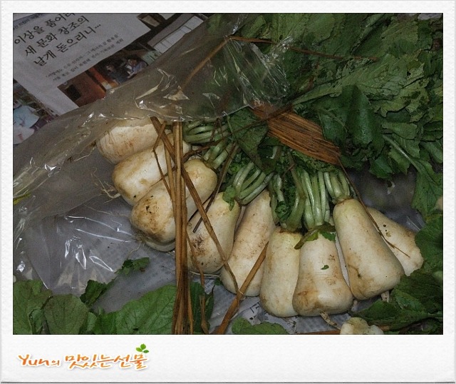 사과를 넣어 더욱 맛있는 아삭아삭~ 총각김치 간단하게 담그는법