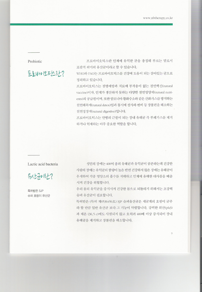 Curriculum vitae examples pdf image