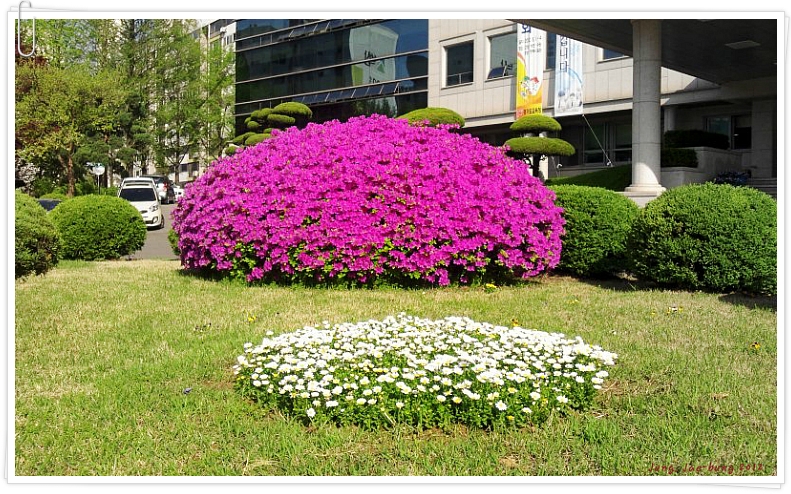 ♡ 사랑해요, 경기도교육청  
