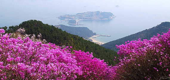 격포주유소 이미지