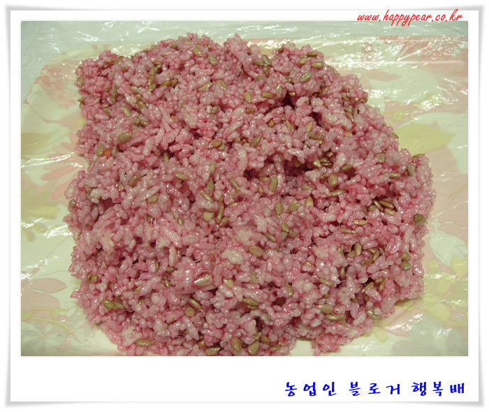 천년초가  어떤 것인가 호기심에 ~~  *^^*