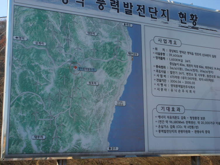 차유 이미지