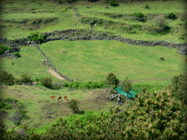 12664F1D4BCF3DDD085A35