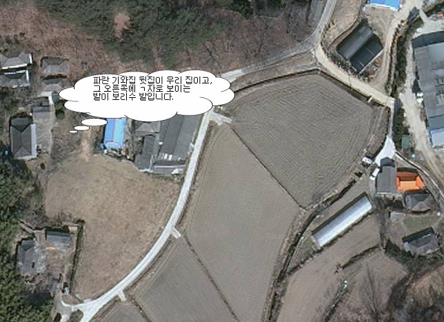 공룡나라 친환경 보리수농장 이미지