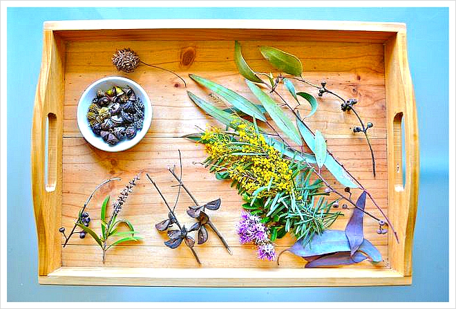 [Plant Activities] 식물을 이용해 몬테소리 교구를 만드는 5가지 방법