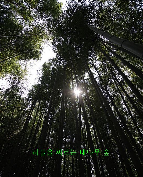 낚시체험장 이미지