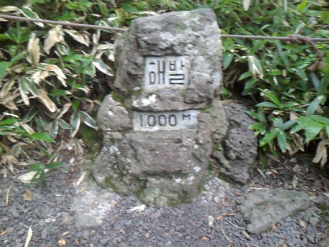 폰 사진
