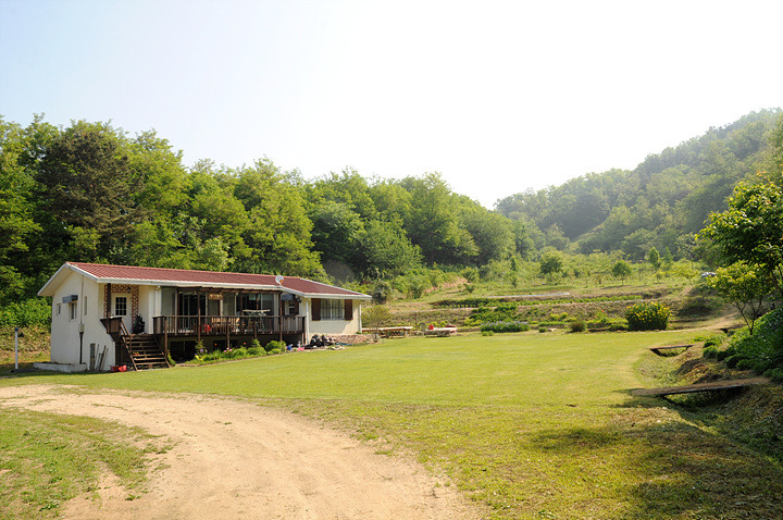 동산잔디 이미지