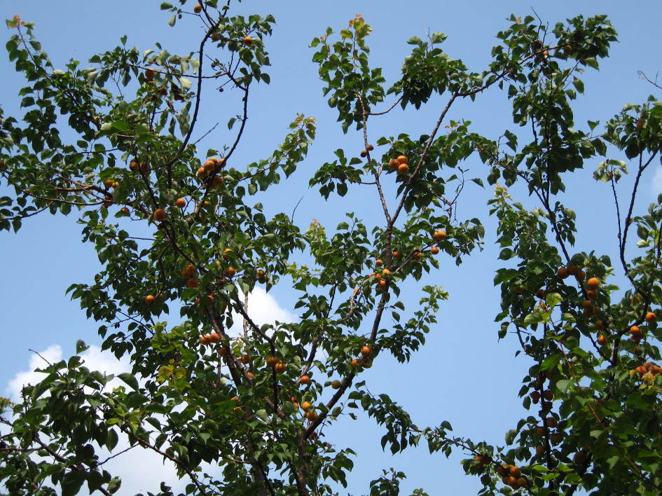 제천가스충전소 이미지