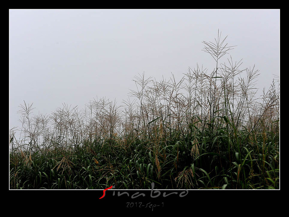 140FF5505044BE5B061E89