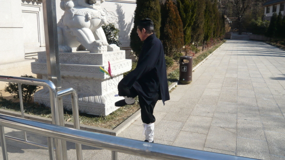 금성카 이미지