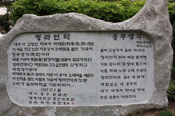 언덕위에 이미지