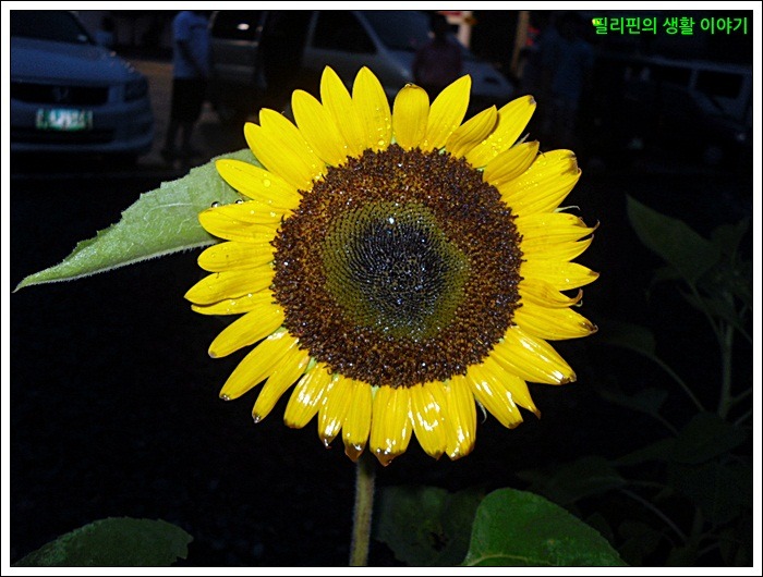 미소주유소 이미지