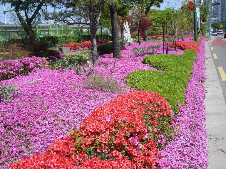 풍경