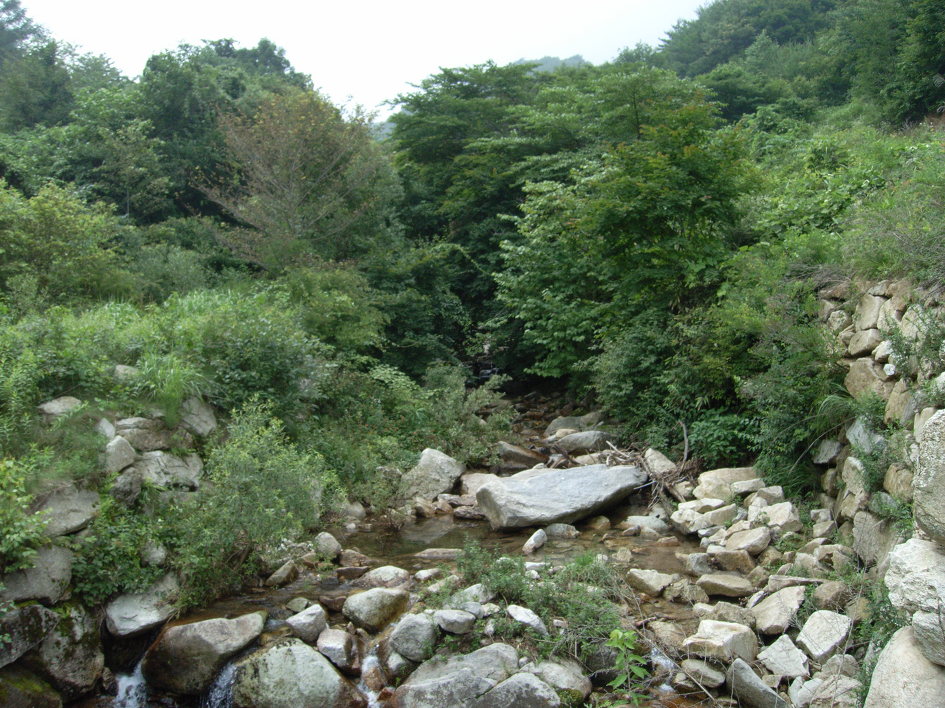 산행_김천 수도산