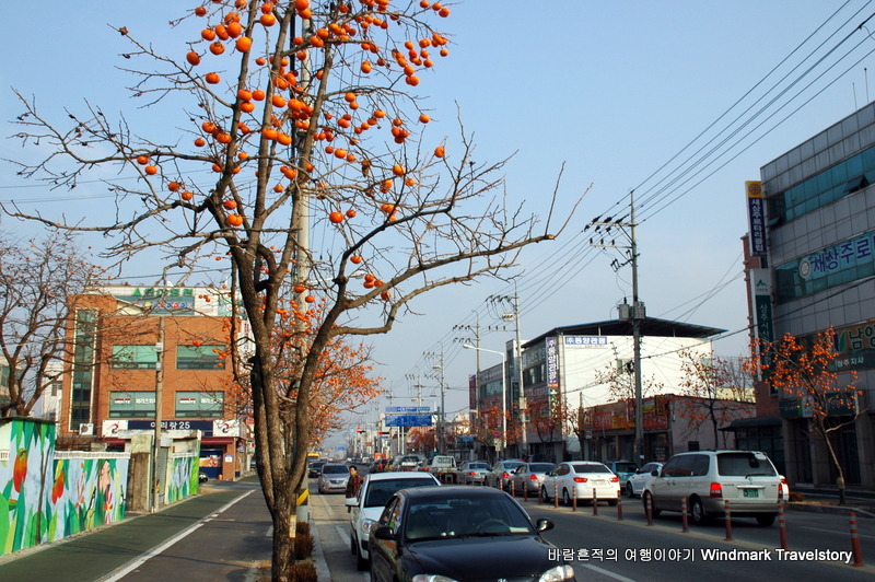 한우대통령 이미지