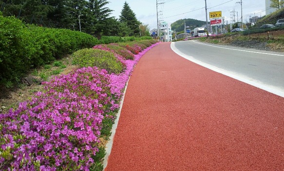 선산자전거 이미지