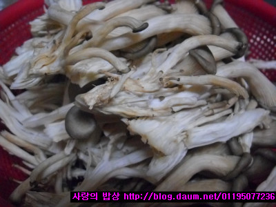 비상식탁 이미지