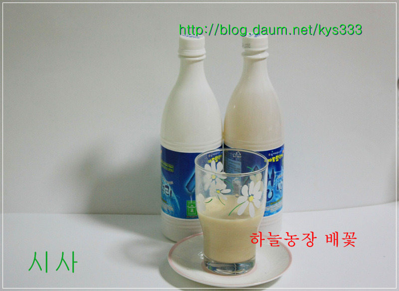 나주 하늘농장 무농약 나주배 인공수분 체험 배꽃축제를 찾아서...2012. 4월.