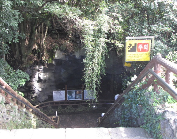 이미지 전체보기