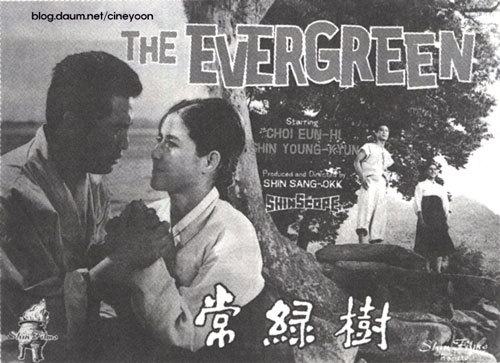 상록수(Evergreen) 이미지