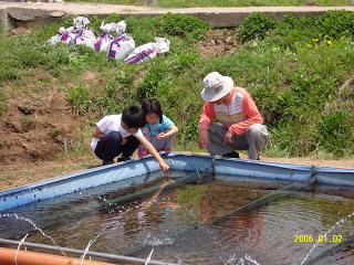 170AFE264BE78171037ED3