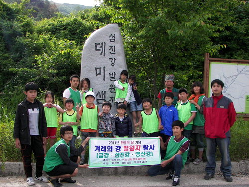 늘푸른나무 이미지