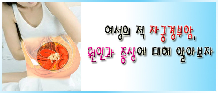 경부환경 이미지