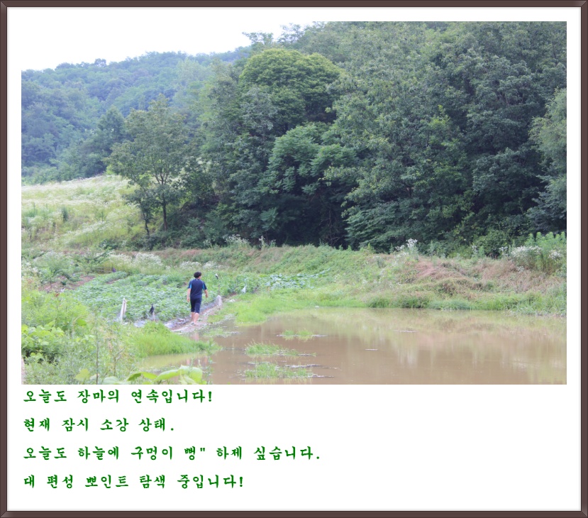 174FB14B4FF96CC00DE629