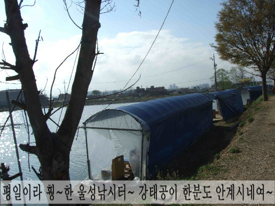 더한오토 이미지