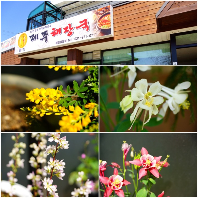 아줌마국수집 이미지