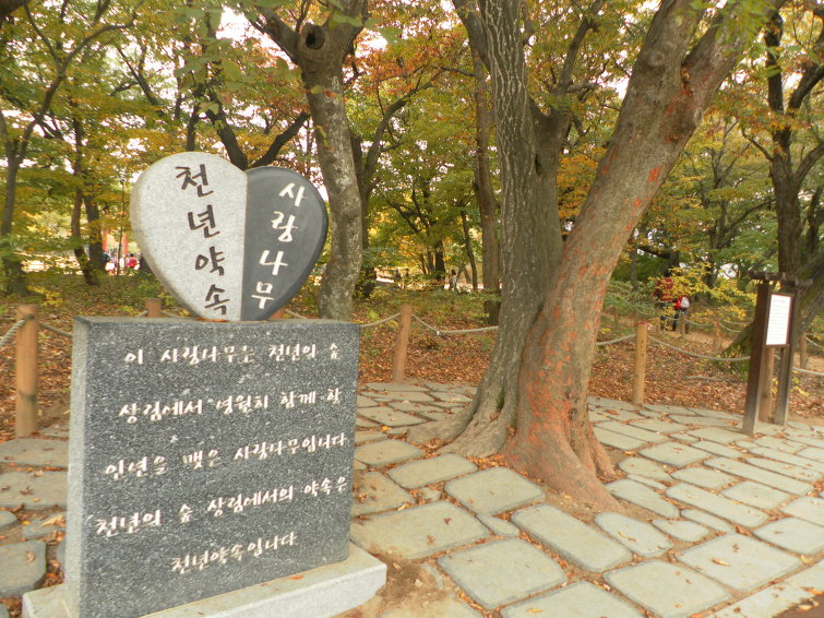 연리지 이미지