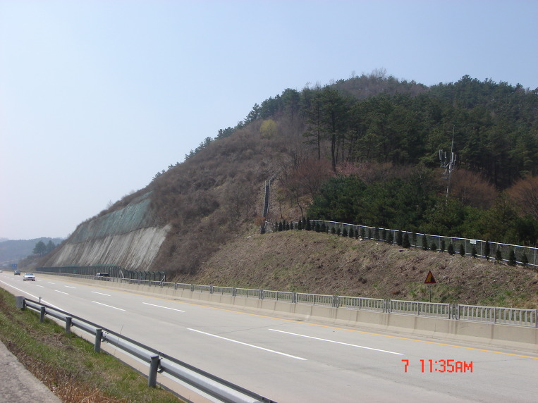 장룡 이미지