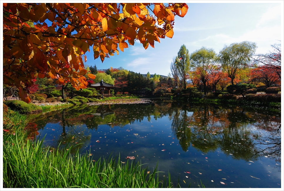 가을 보문정(2009.11.7)