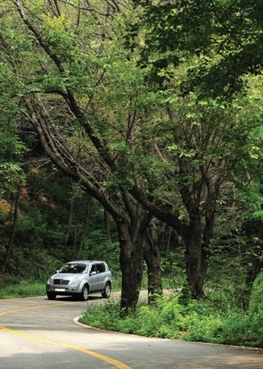 환상주민 이미지