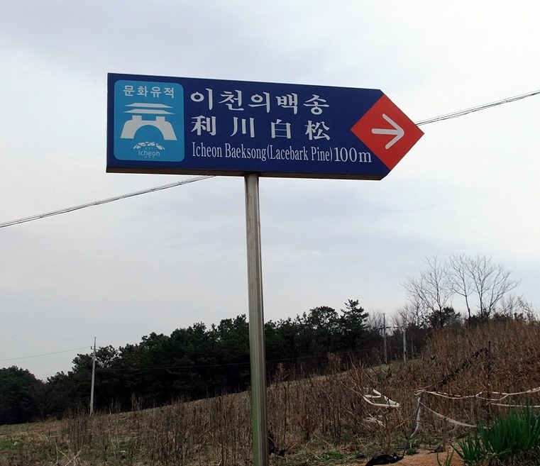 원적산 정상 이미지