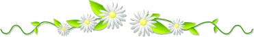 1863D2454F704F9F27644D