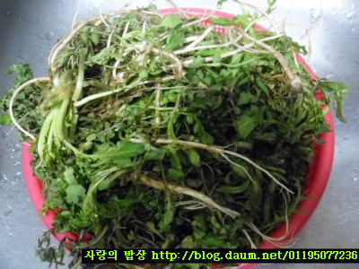 바쁜아침 반찬걱정은 끝! 6가지 환상의 봄나물 무침세트>_