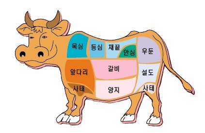 소한마리 이미지