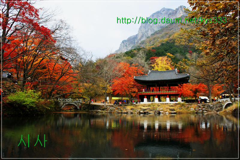만추의 백양사 아름다운 단풍 2탄...2012. 11월 7일