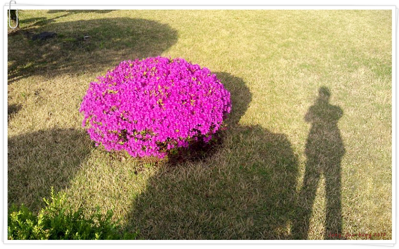 ♡ 사랑해요, 경기도교육청  