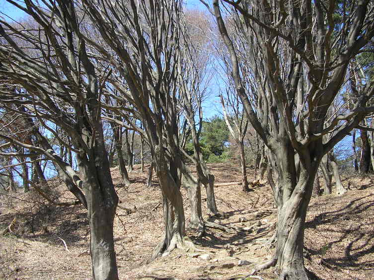상당회관 이미지