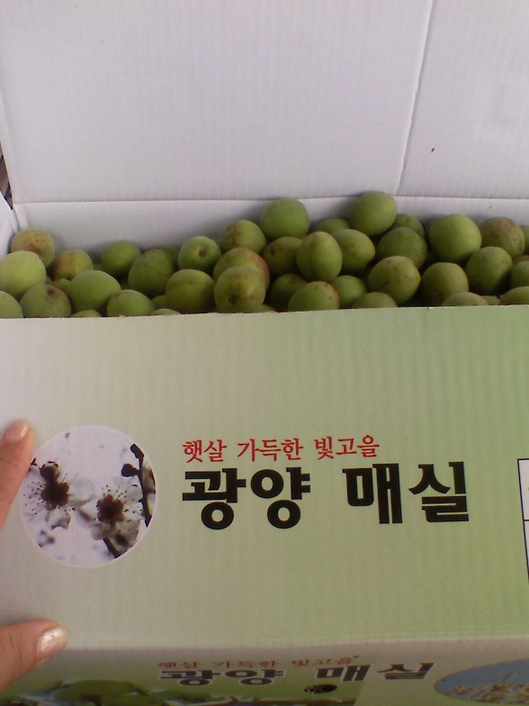 휴대폰에 담은 아름다움