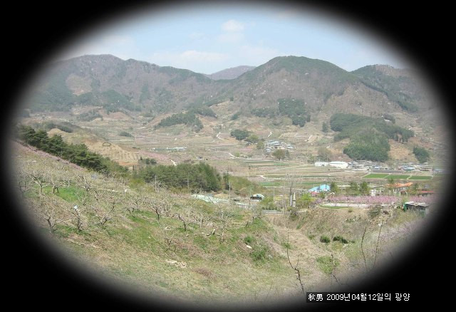 이파리광양 이미지