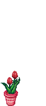 203011334DA9123C3242BF