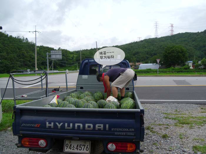 더블클릭을 하시면 이미지를 수정할 수 있습니다