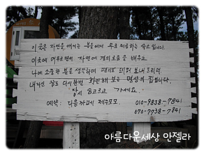 모모자전거 이미지